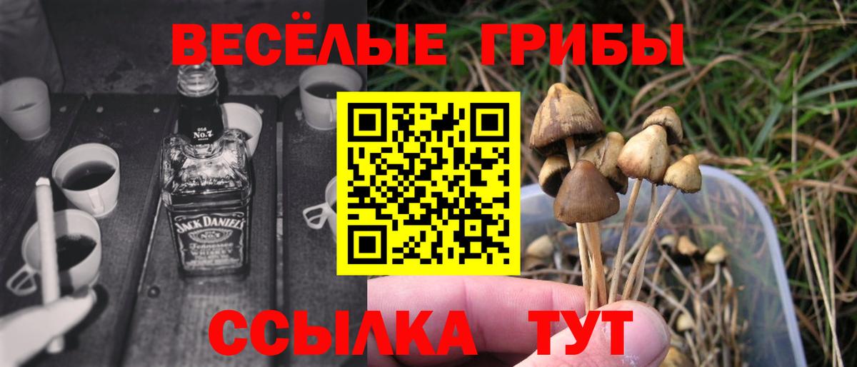 Дедовск  Галлюциногенные грибы MAGIC MUSHROOMS  Вход с VPN 
